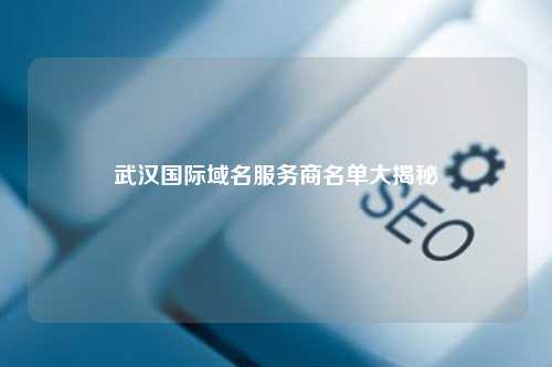武汉国际域名服务商名单大揭秘